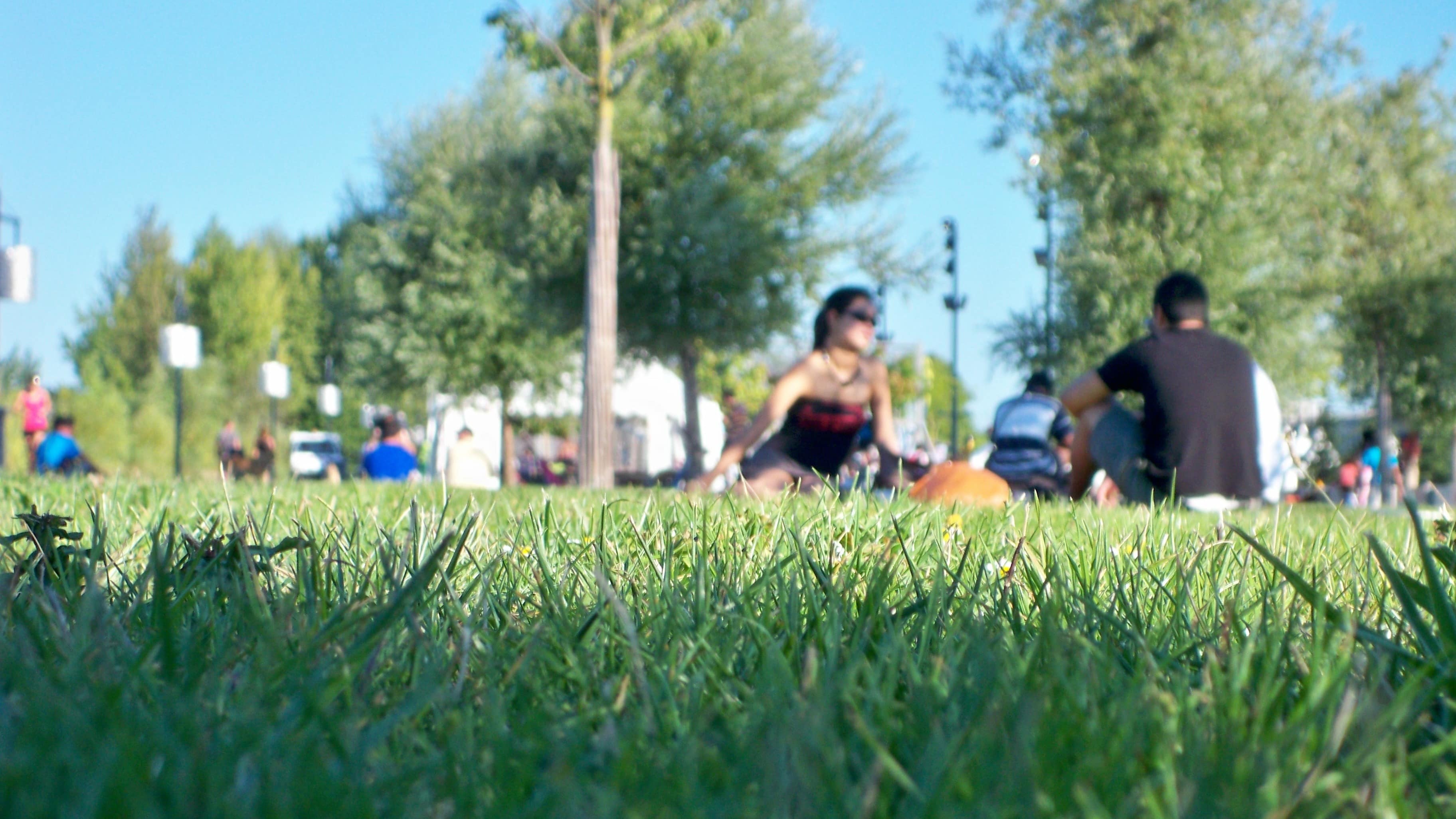Des personnes assises dans l’herbe dans un parc de Bordeaux