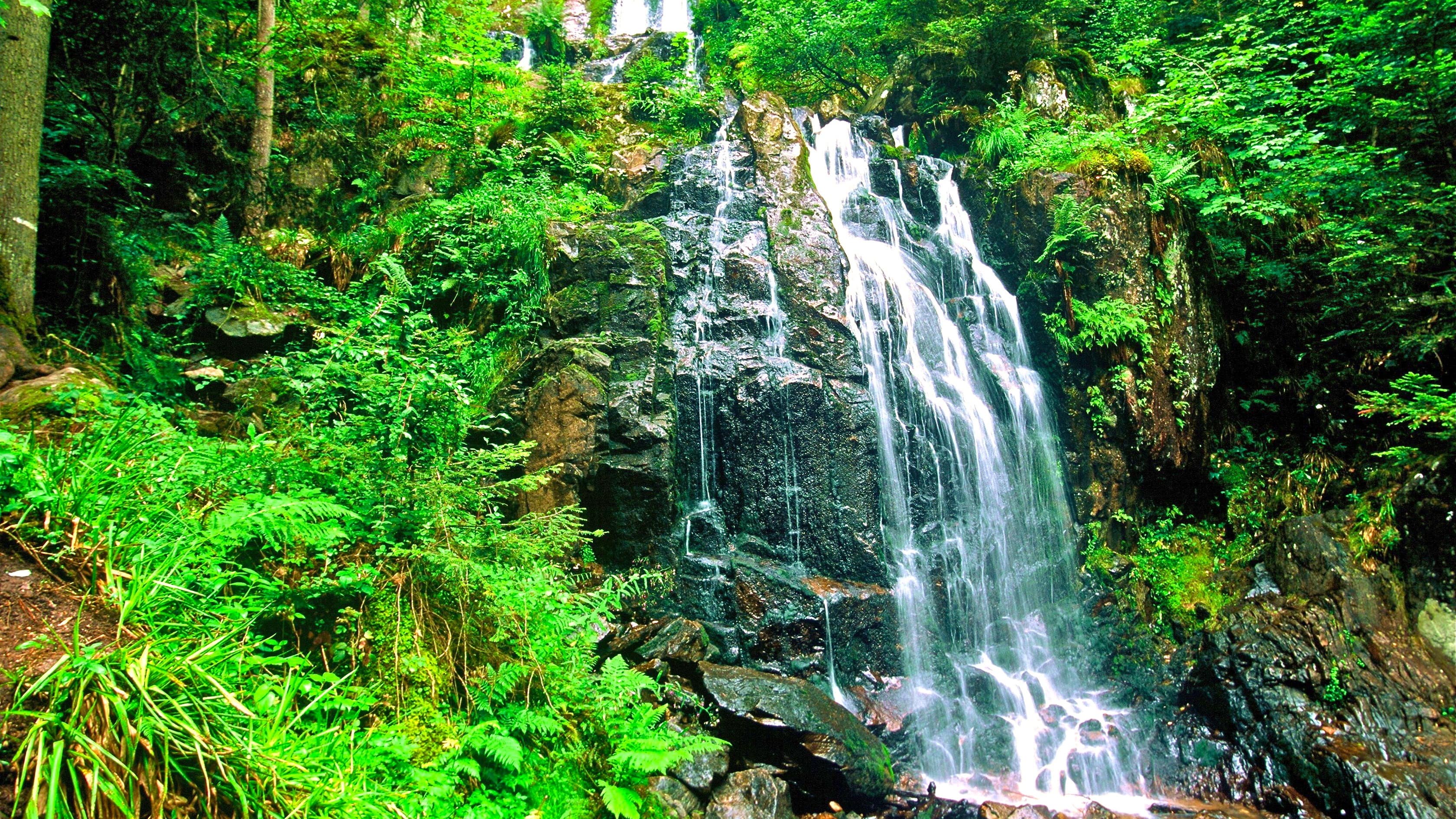 Grande cascade du Tendon dans les Vosges