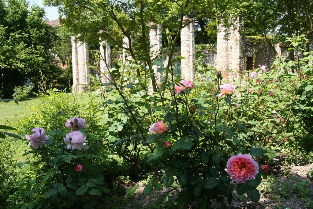 garden of the soranzo capello chapel
