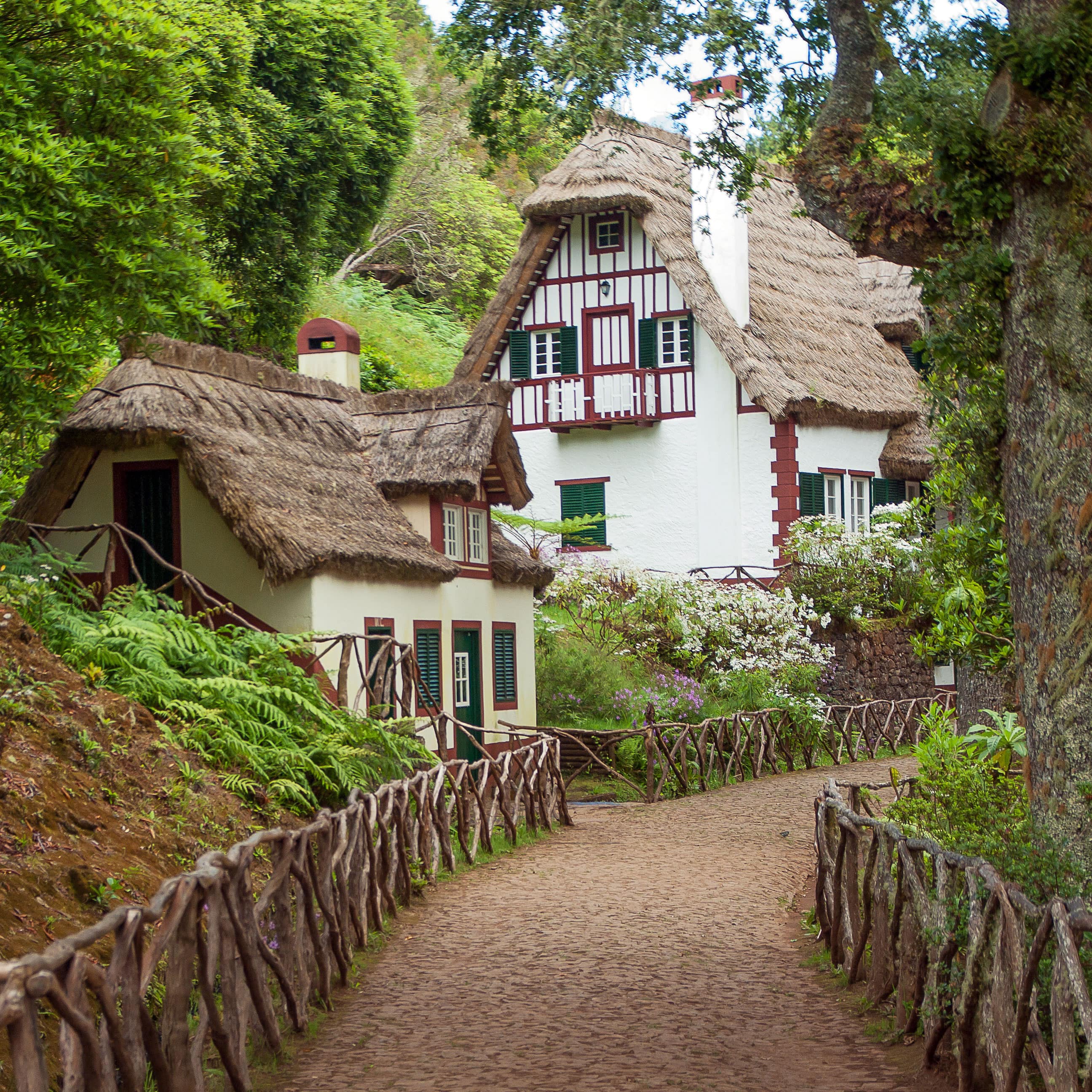 Gîtes en Europe : un gîte à Madère au cœur de la forêt
