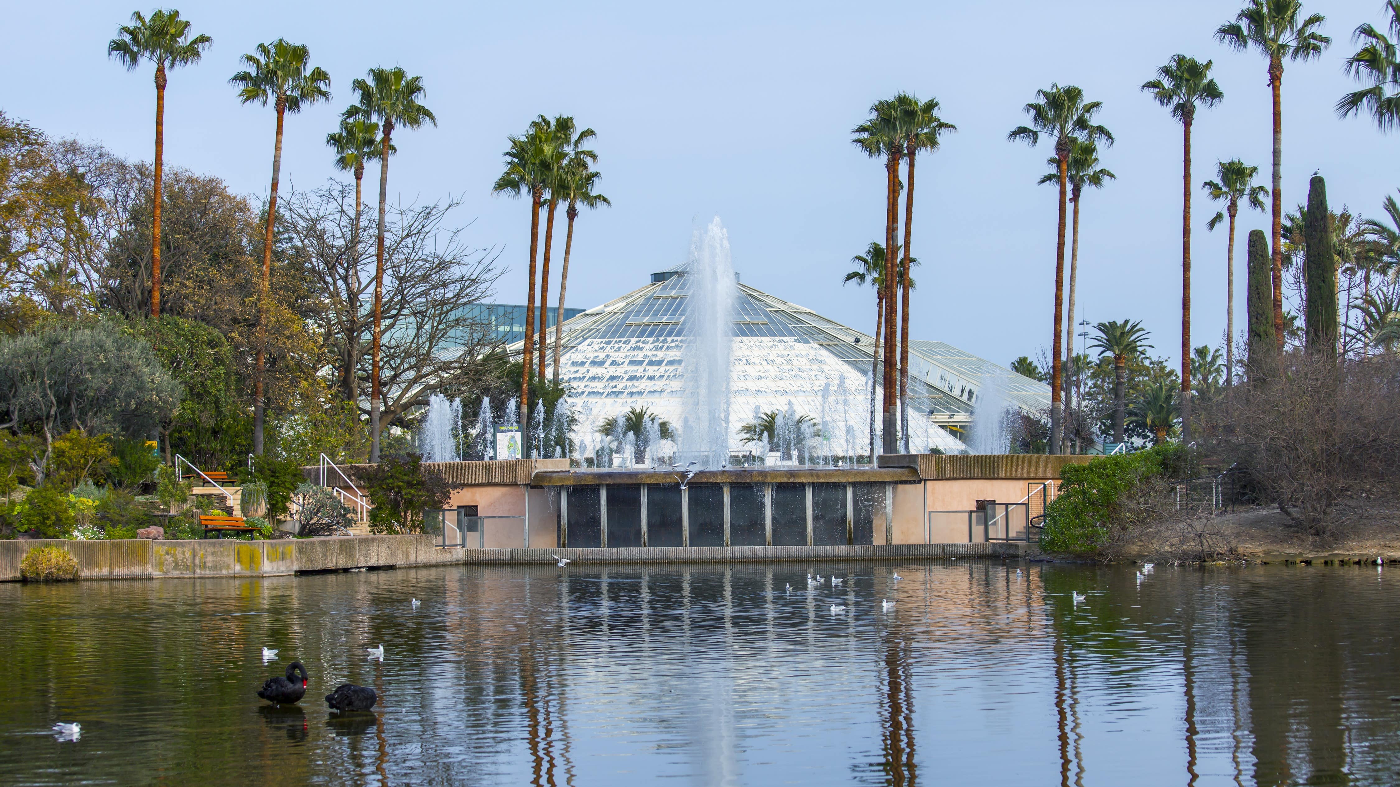 Plan d’eau, jet d’eau et serre du parc Phoenix à Nice