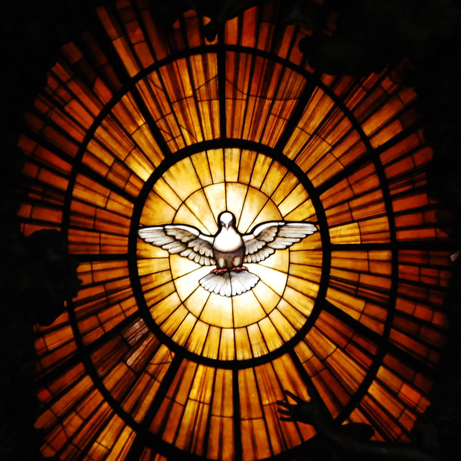 Colombe de la paix du Vatican