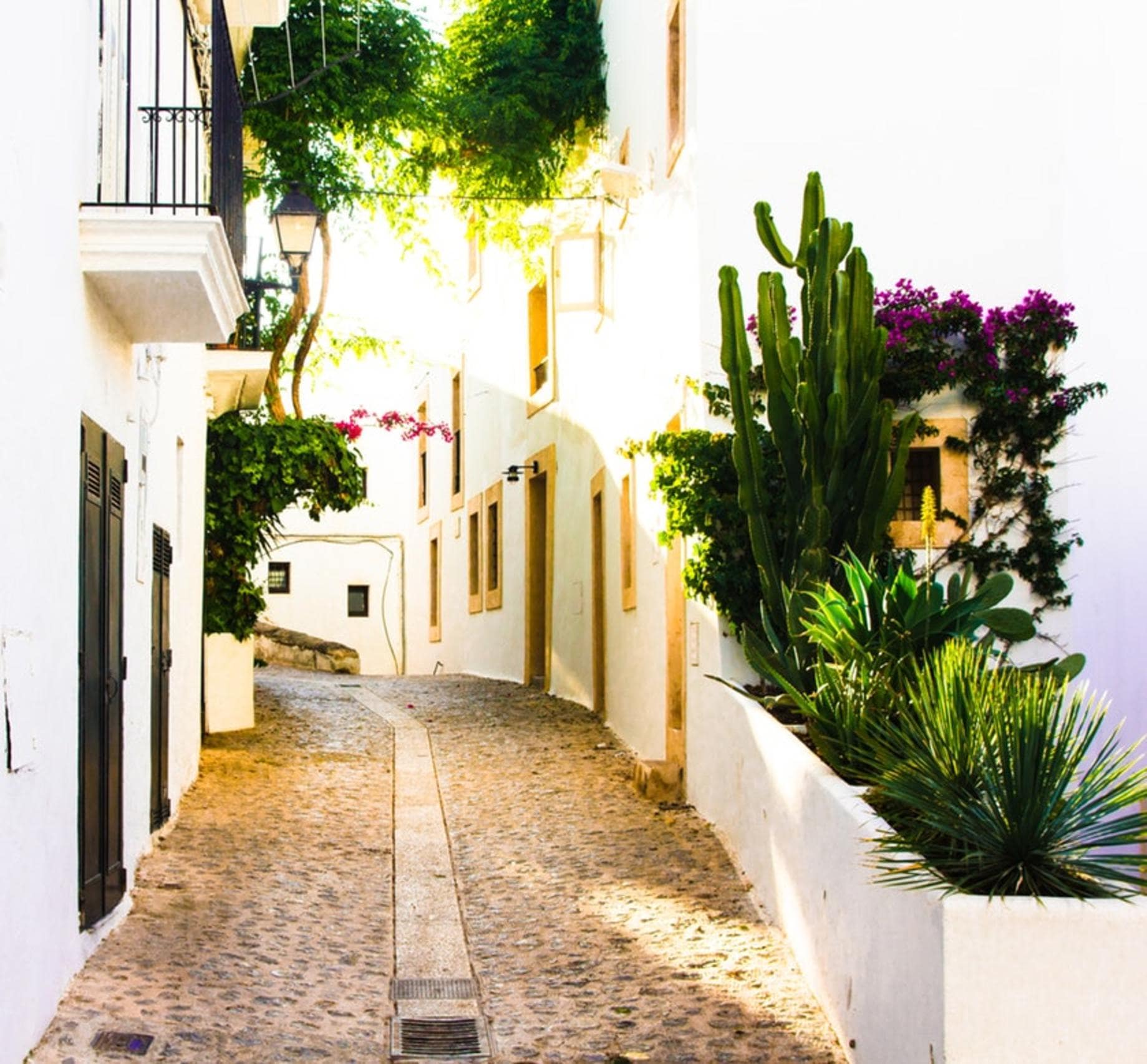 A whitewashed row of typical Ibiza apartments and houses in Ibiza Town