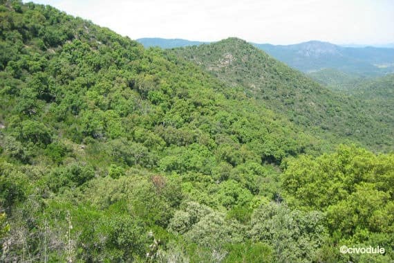10 visites var 10