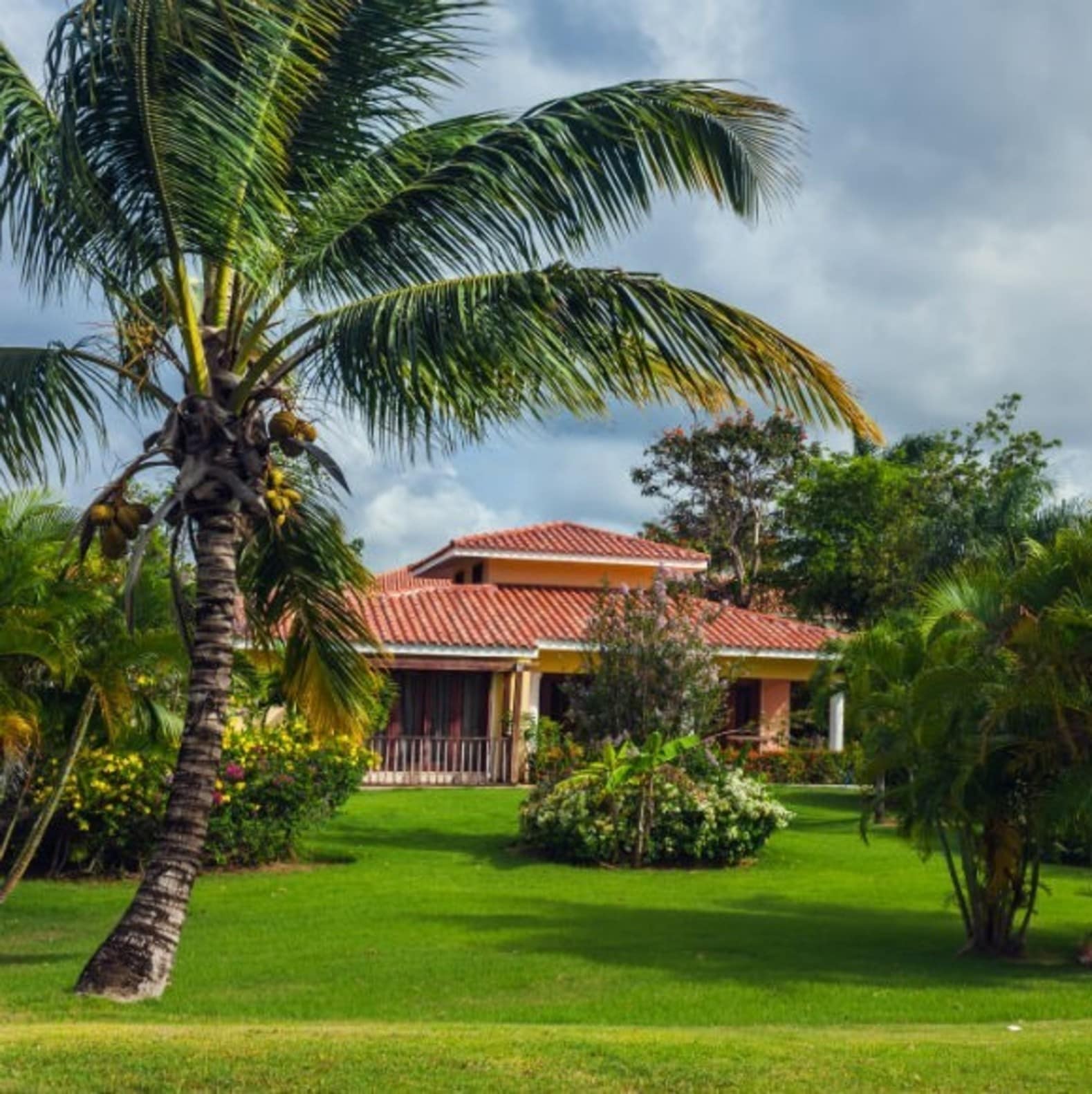 Villa avec jardin arboré, fleurs, palmiers, villa Caraïbes