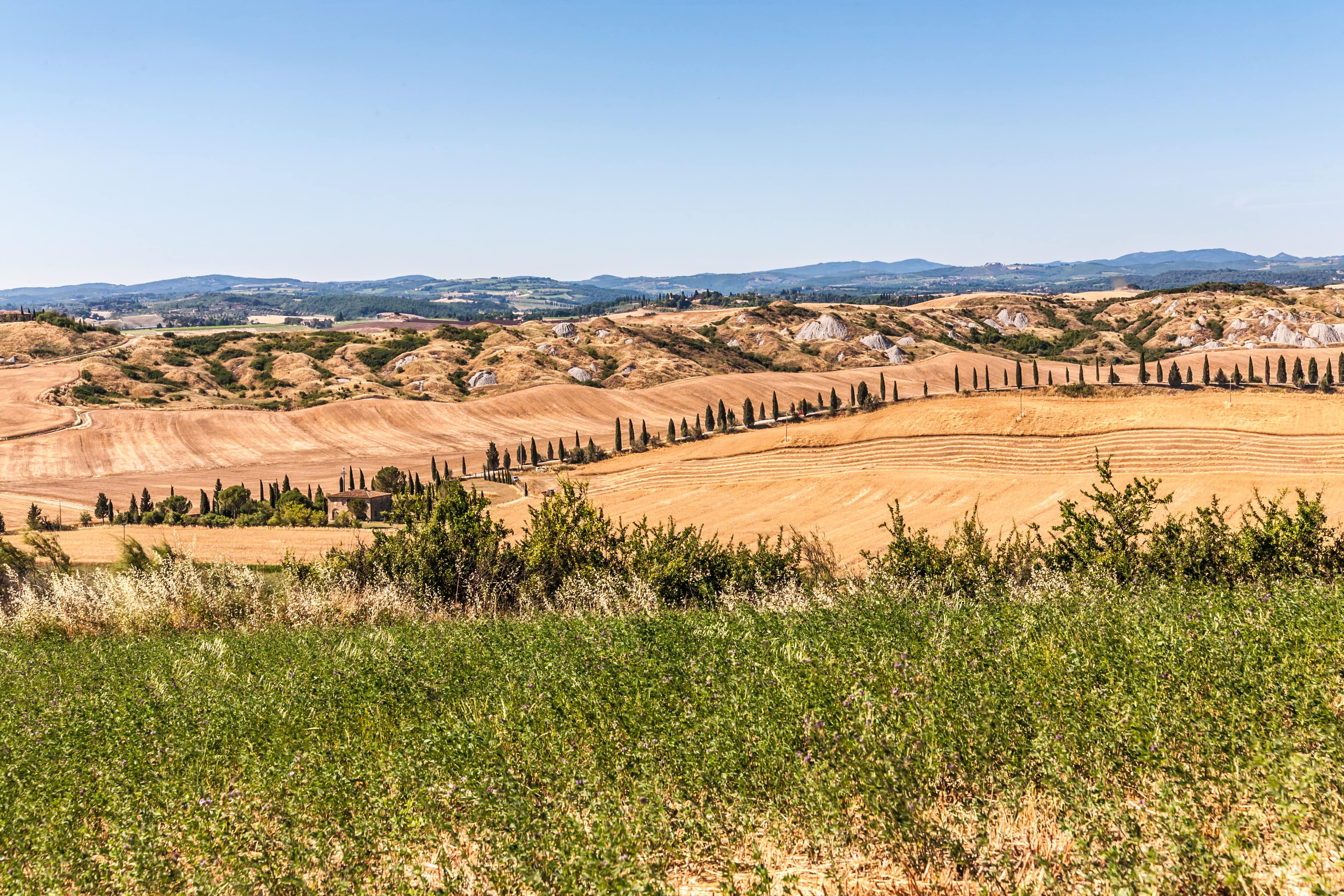 Les Crêtes Senesi, Toscane STOCK