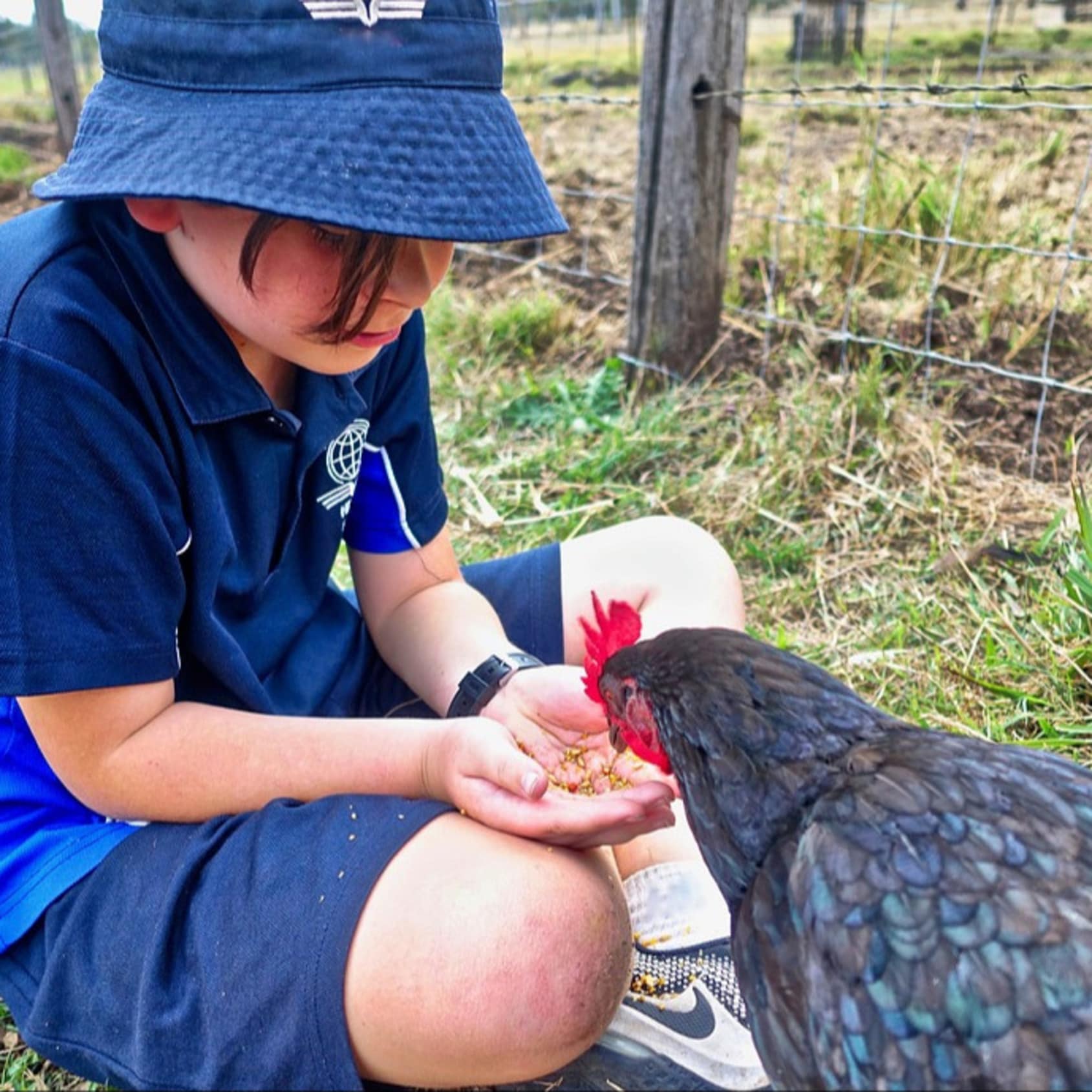 Une ferme pour apprendre le respect de la vie et de la nature