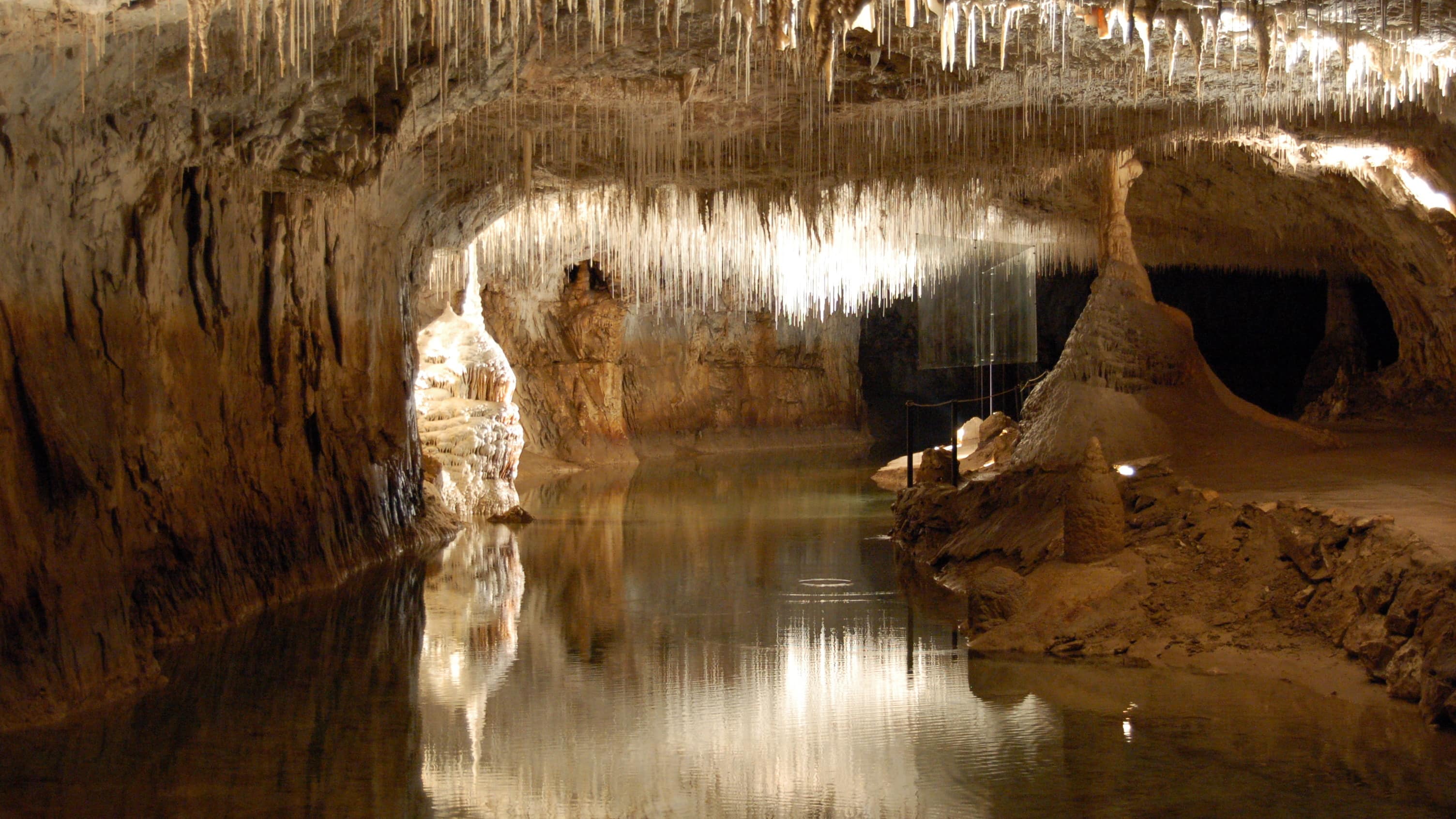 Plafond de stalactites fistuleuses au-dessus d’un lac souterrain à la grotte de Choranche, dans le massif du Vercors