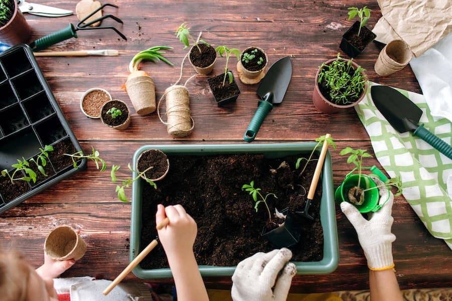 Family indoor garden