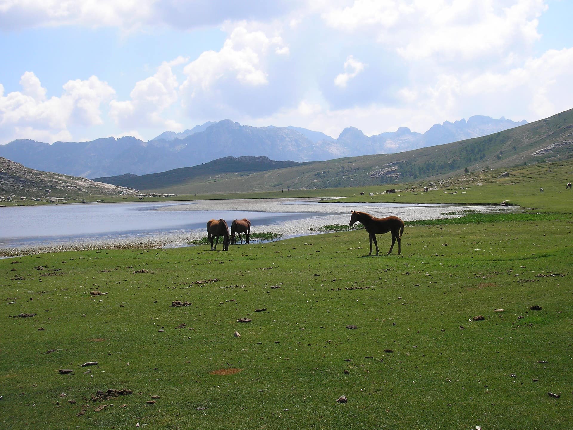 Pozzines De Coscione, foto di Patrick SABATIER-VESCOVALI, Pixabay