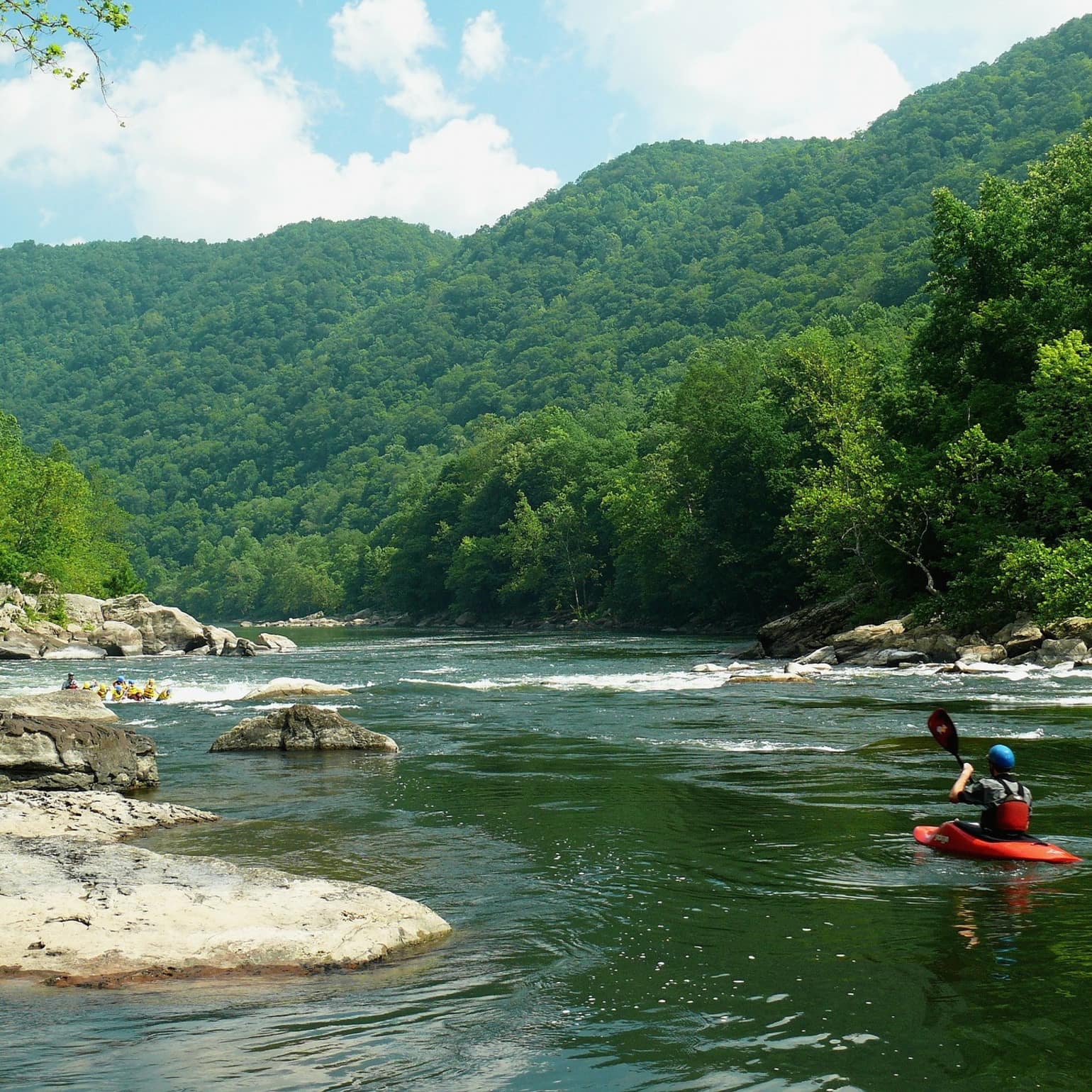 Personne faisant du kayak vue de dos