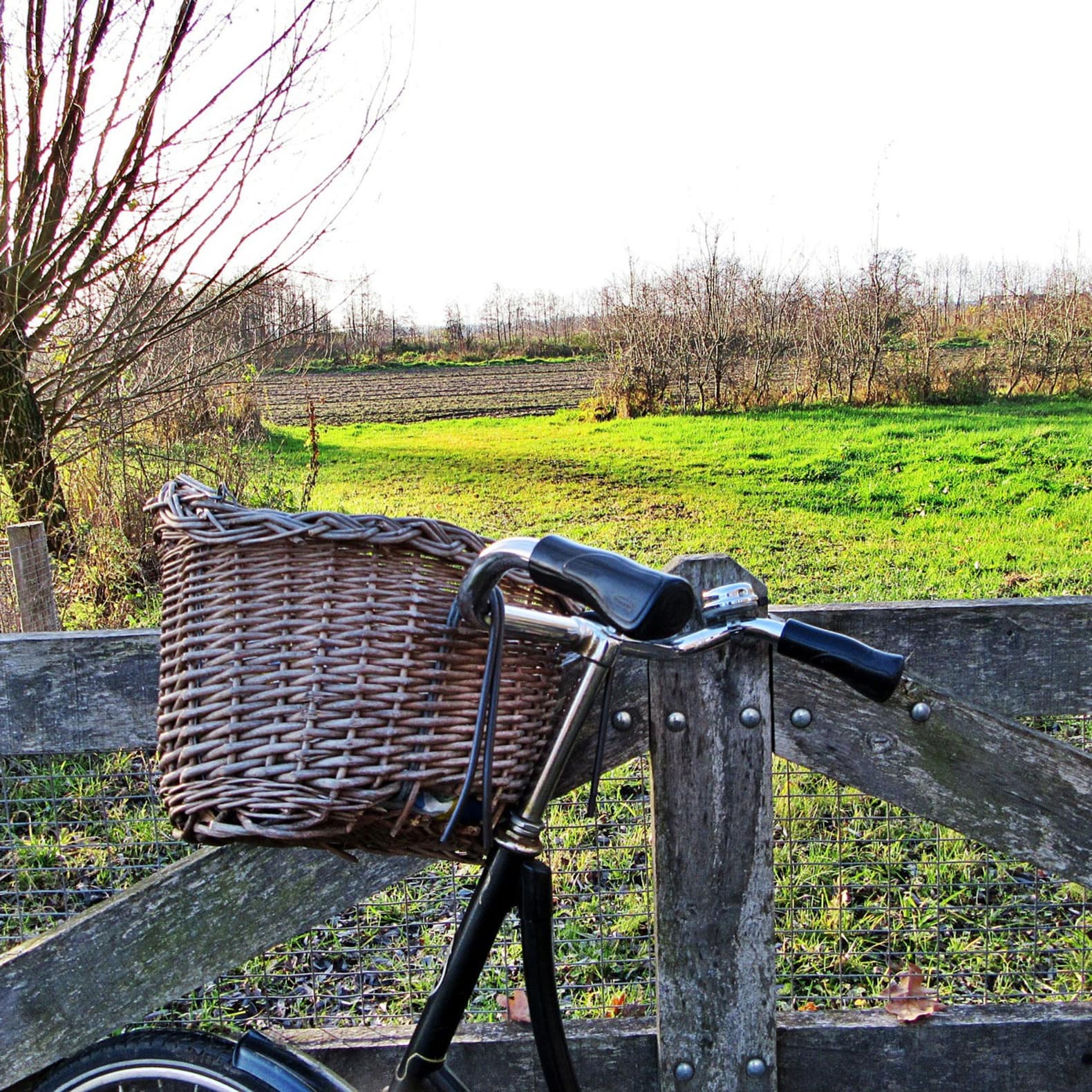 Pédalez hors-saison ! C’est bon pour votre santé et votre portefeuille