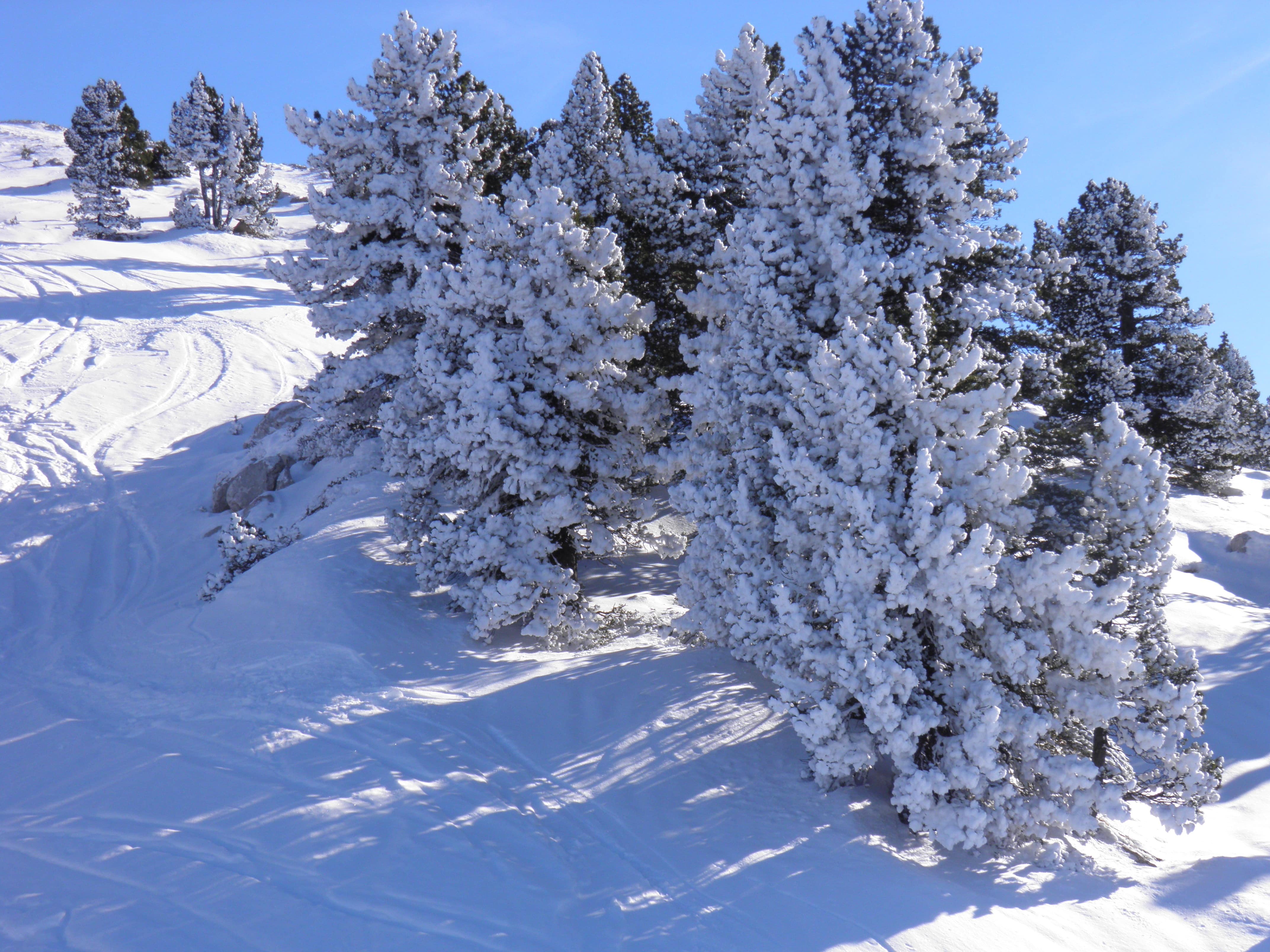 Ski slope, Villard-de-Lans, France